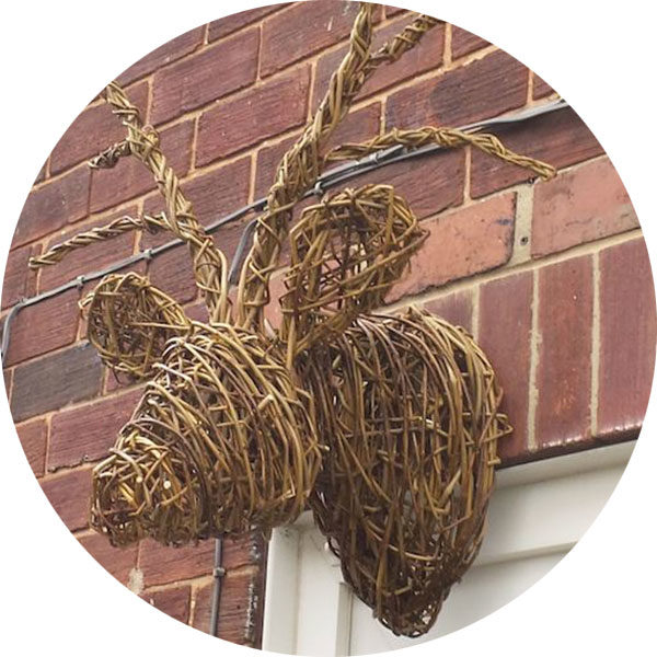 Willow Stags Head